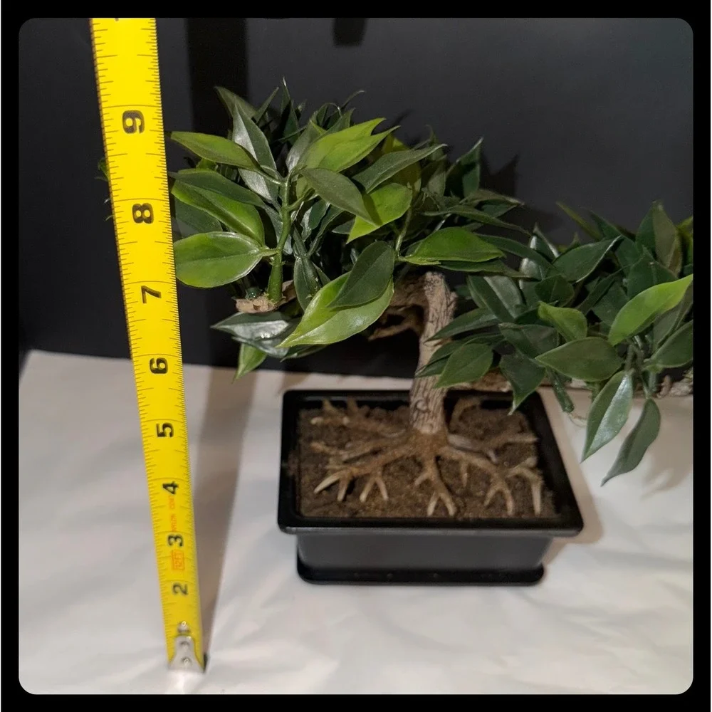 Artificial Bonsai and Succulent Set Home Decor Greenery Black Planters Zen
